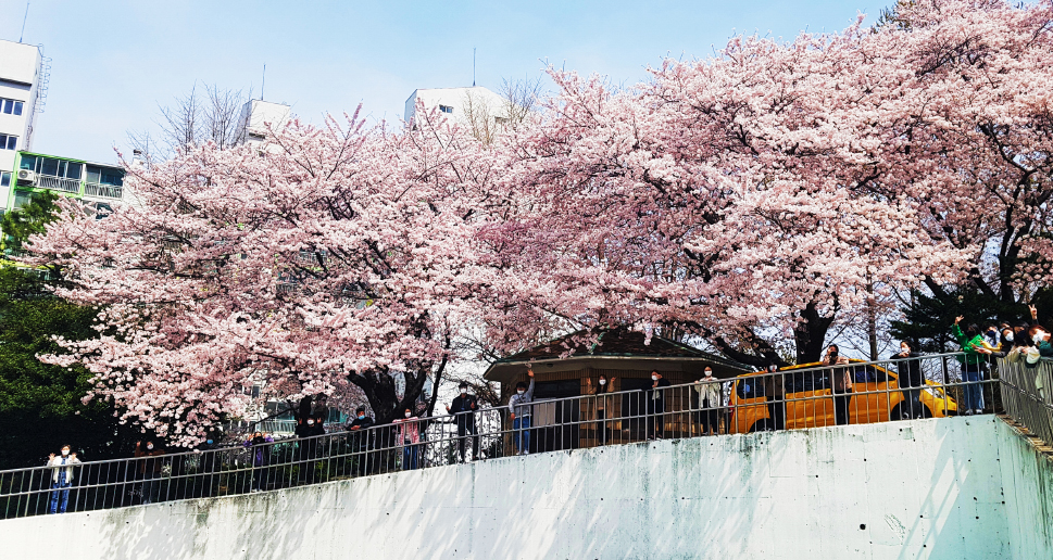 부산진구종합사회복지관 임직원